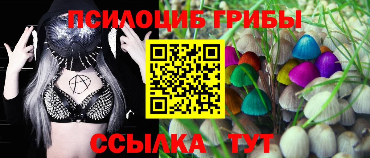 Псилоцибиновые грибы MAGIC MUSHROOMS  Вход с VPN  Назарово 