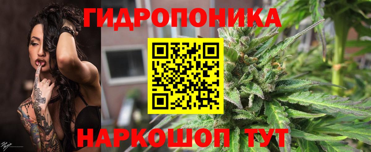 Марихуана планчик  Бошки Шишки White Widow  Назарово  Вход с VPN  Шишки марихуана план  Конопля тримм 